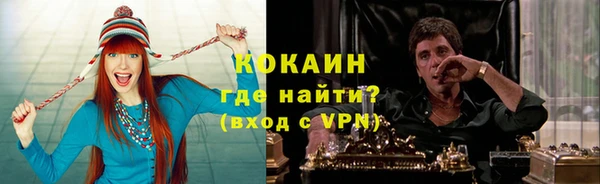 тгк Алзамай