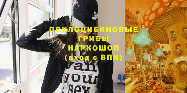 тгк Алзамай