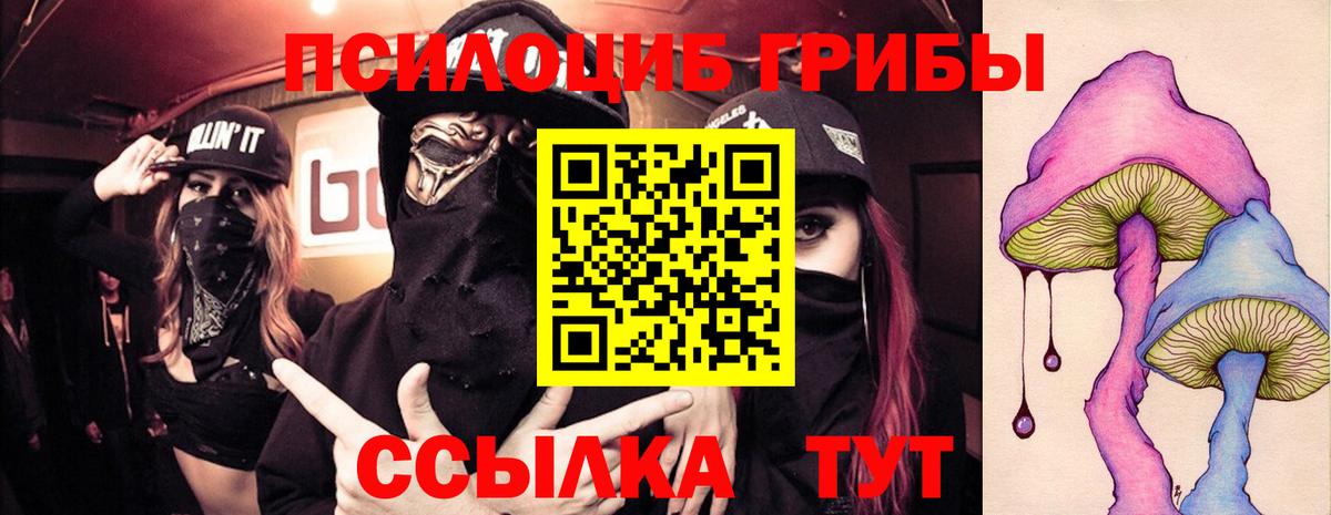 Галлюциногенные грибы мицелий  Вход с VPN  Новочеркасск  Псилоцибиновые грибы Psilocybe 